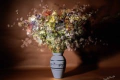 BP-Fleur