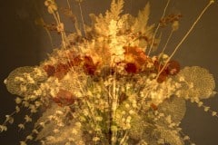Charlotte-bouquet