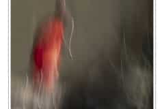 04-Atelier-IA_Brigitte