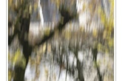 12-Atelier-IA_Marie-Helene