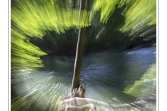 13-Atelier-IA_Charlotte