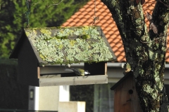 06_DSCN3830