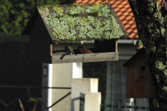 06_DSCN3831