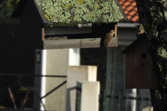 06_DSCN3839