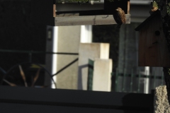 06_DSCN3840