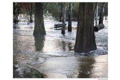 Marie-Helene-horizontal-copie