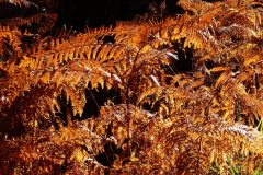 FRD_2020-10-26-Place-mairie-Mouliere-3