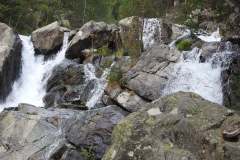 DSCN2087