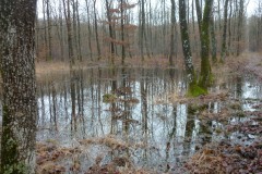 P1480352-r-photo-du-mois