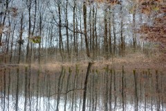 P1480356-r-photo-du-mois