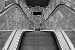 05_MOIS-fev-Vi-2
