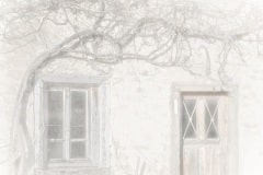 05-Ala-003-10-Z7-25_0329-1