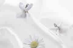 07-Gen-04-D52-25_1096-1