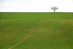 M1_FJ-Photo-du-mois
