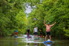 Marais-poitevin_HM1