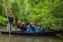 Marais-poitevin_HM2