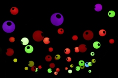 T1_PB