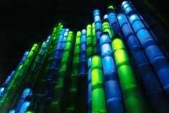 T3_BP