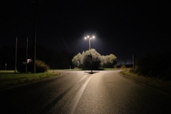 T4_LB