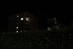 T5_LB