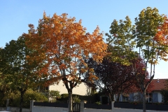 DSCN2147-1