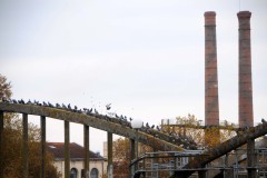 DSC_5610-r