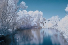 Liguge-1