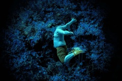 Liguge-6_1