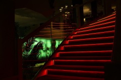BP_Sortie_escalier-1