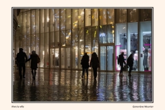 Copyright  Geneviève Meunier